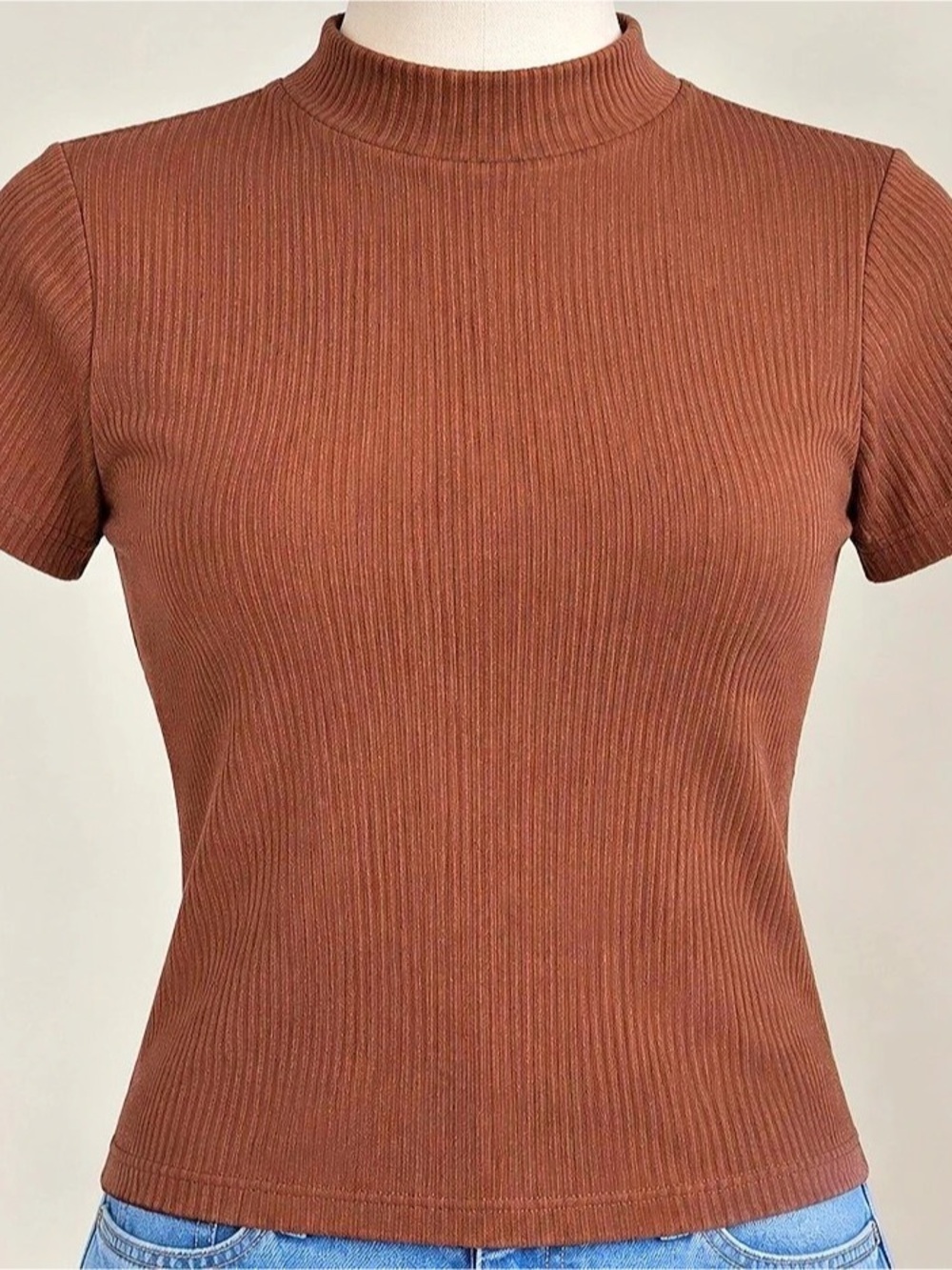 Jason Maxwell Ribbed Mock Neck Top in Brown